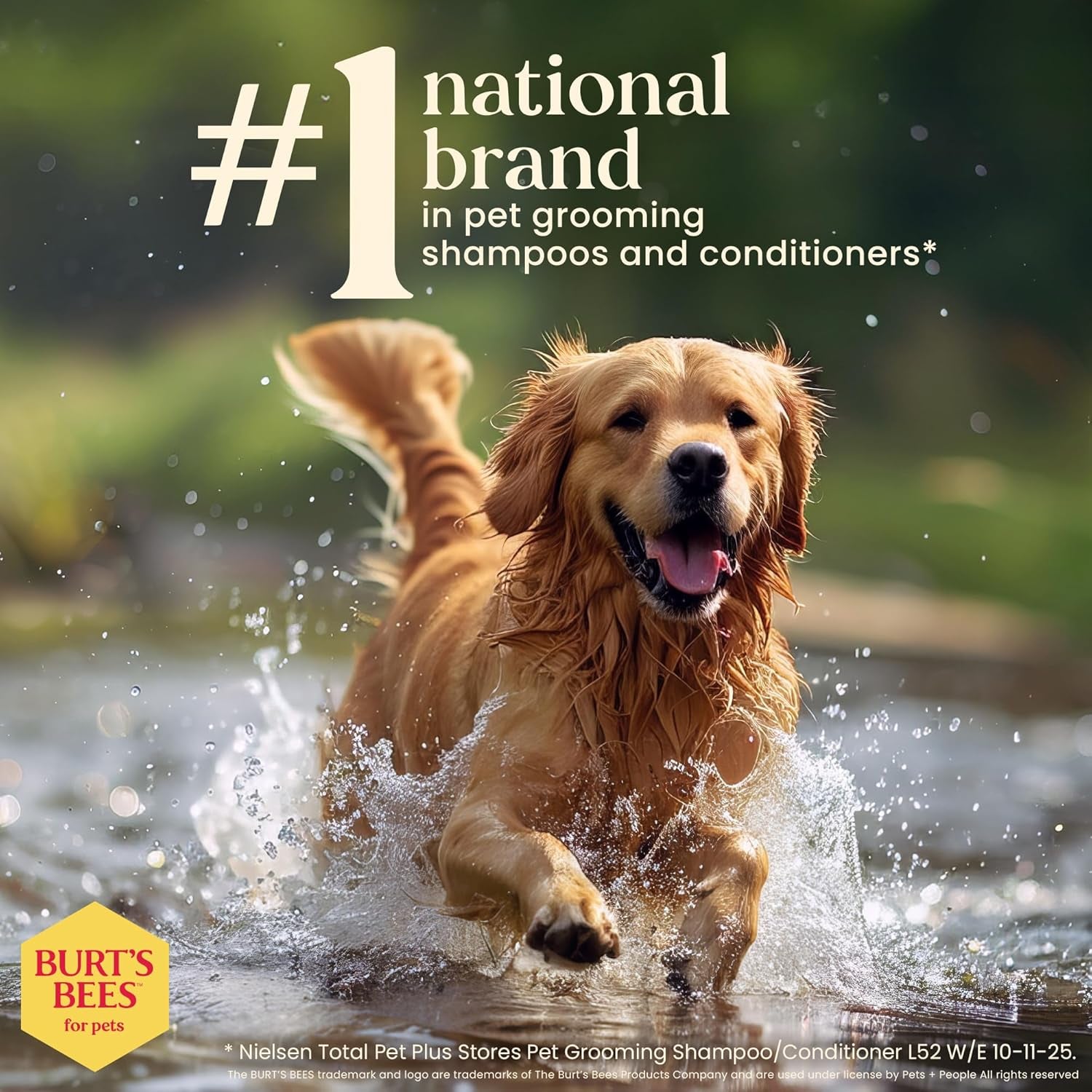 Waterless Shampoo Spray for Dogs with Apple and Honey, 99.1% Natural Origin Formulas, Waterless Dog Shampoo - Gentle Dry Shampoo for Dogs, Best Dog Shampoo, 10 Oz